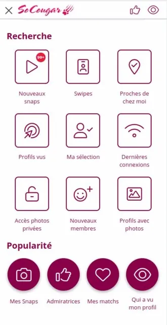 socougar-site-fonctionnalites